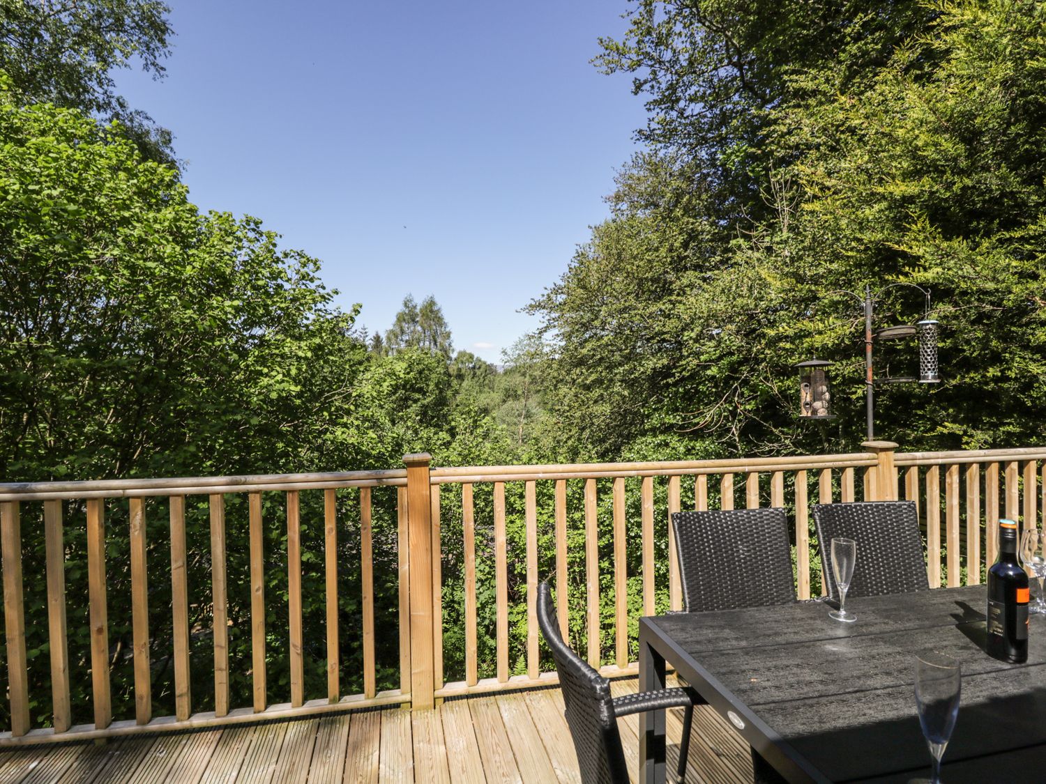 Woodland views from the deck